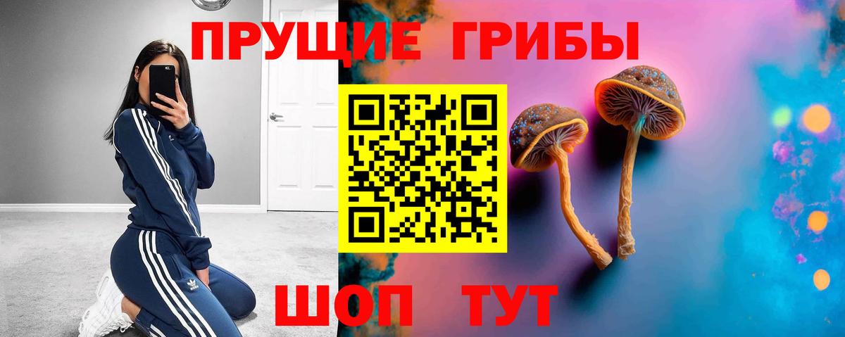 Псилоцибиновые грибы Psilocybine cubensis Усть-Илимск